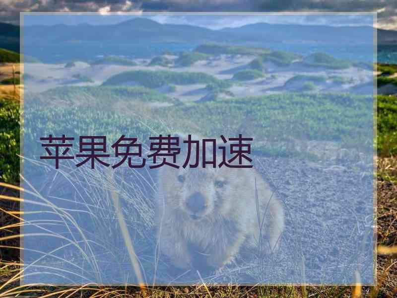 苹果免费加速