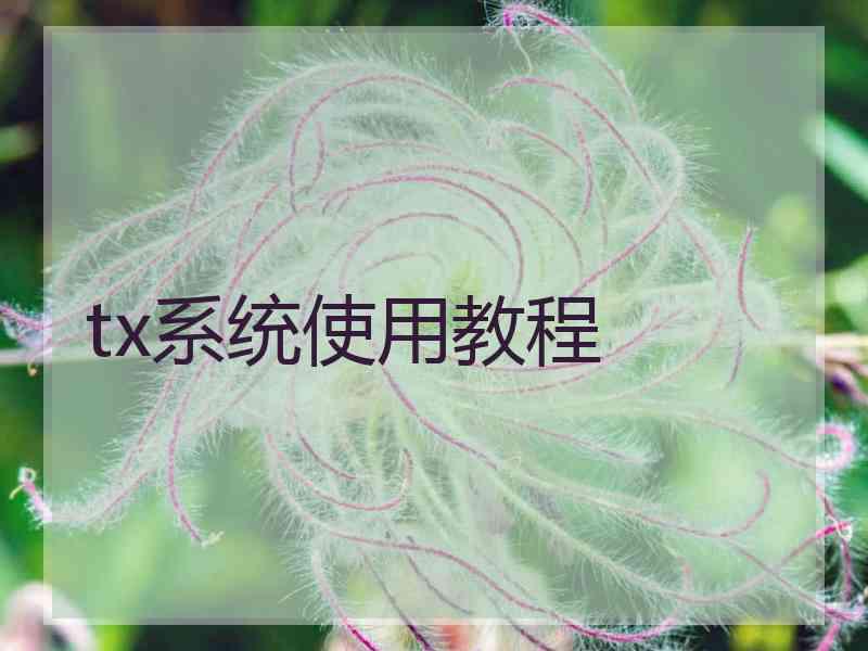 tx系统使用教程