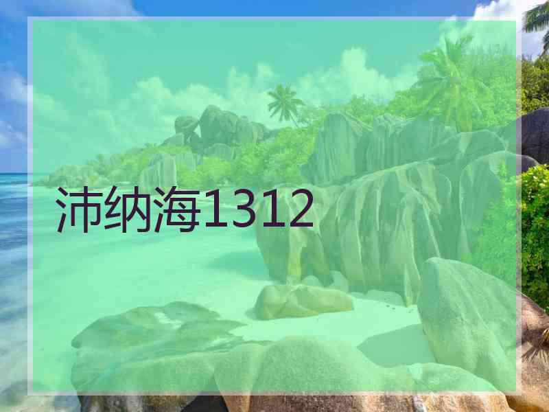 沛纳海1312