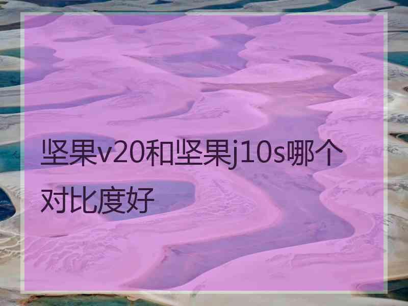 坚果v20和坚果j10s哪个对比度好