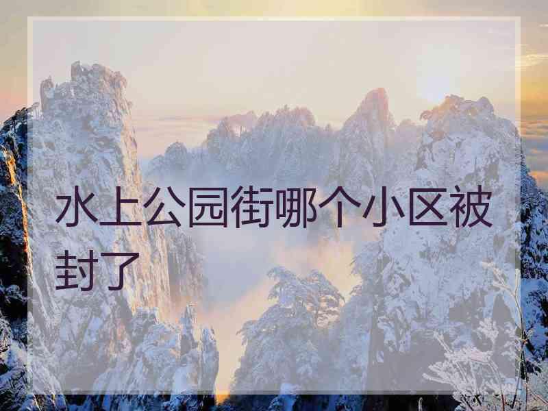 水上公园街哪个小区被封了