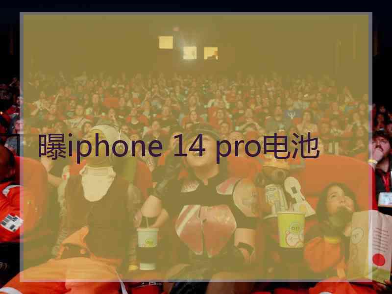 曝iphone 14 pro电池