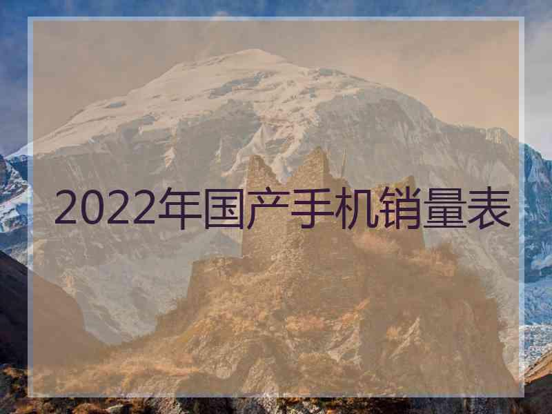 2022年国产手机销量表