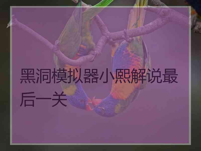 黑洞模拟器小熙解说最后一关