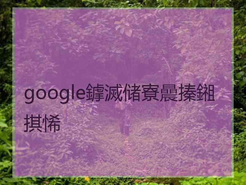 google鎼滅储寮曟搸鎺掑悕