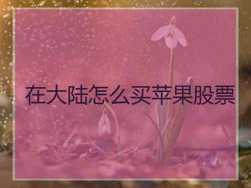 在大陆怎么买苹果股票