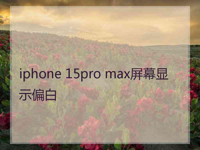 iphone 15pro max屏幕显示偏白