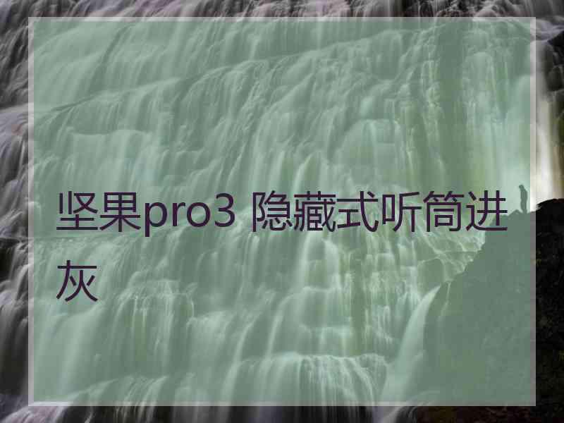 坚果pro3 隐藏式听筒进灰