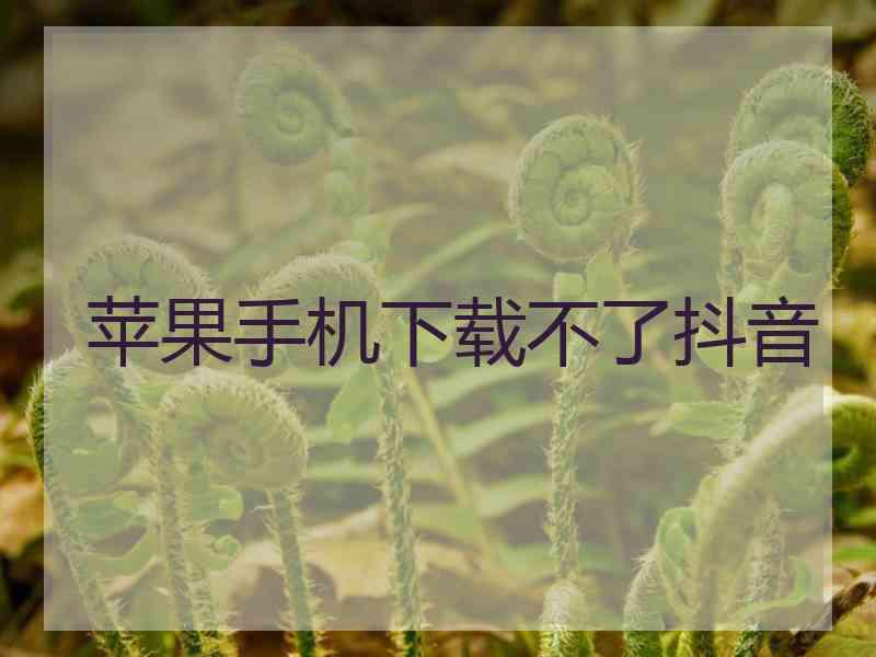 苹果手机下载不了抖音