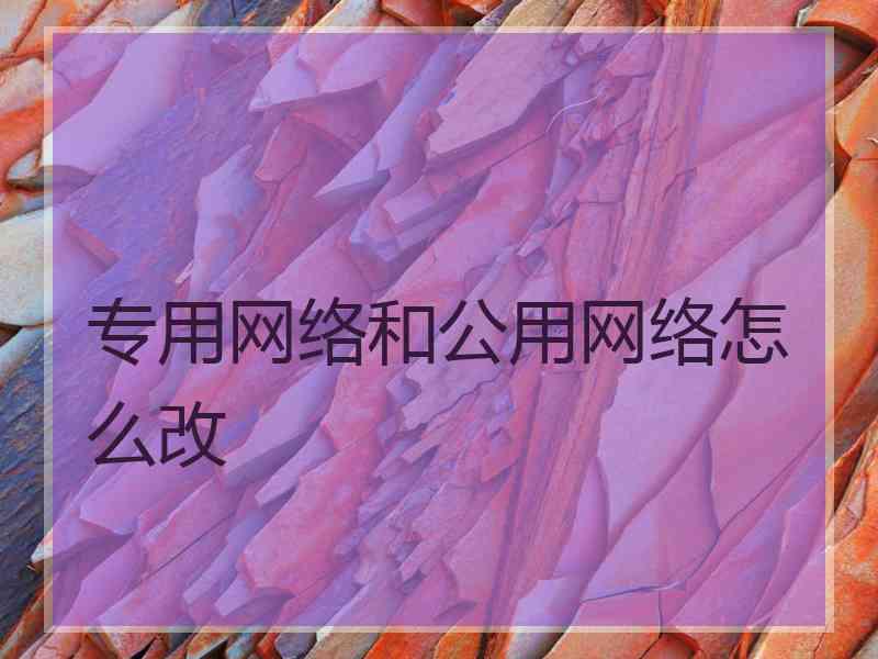 专用网络和公用网络怎么改