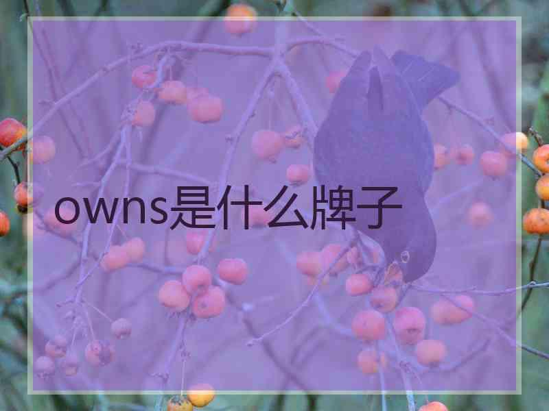 owns是什么牌子