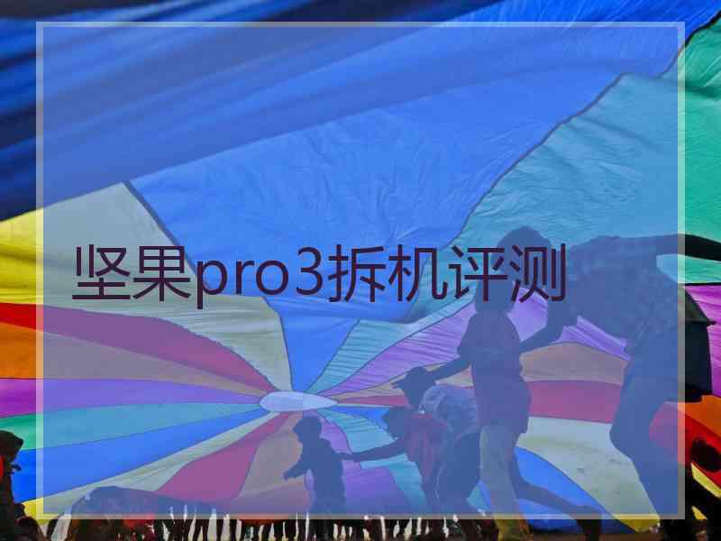 坚果pro3拆机评测