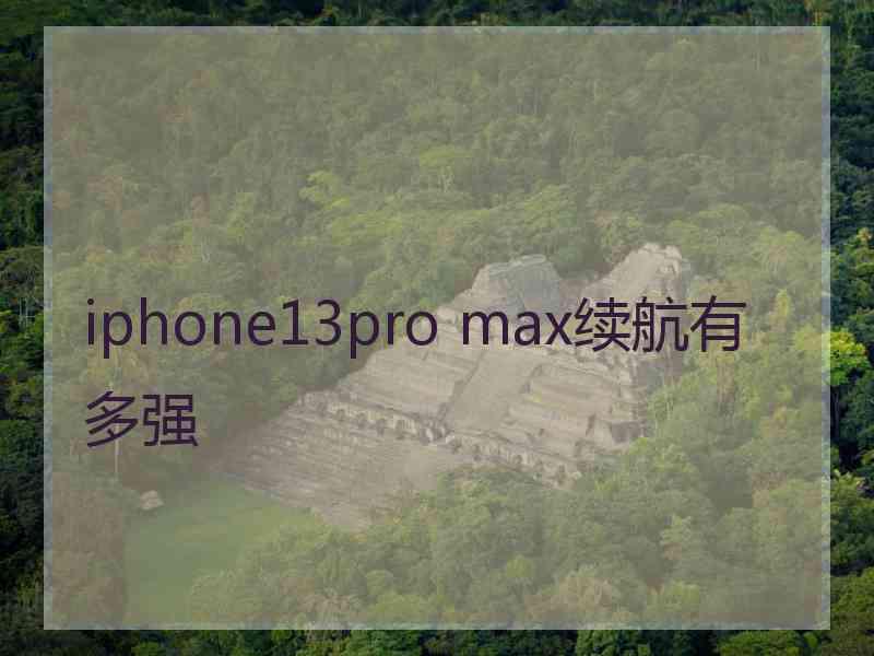 iphone13pro max续航有多强