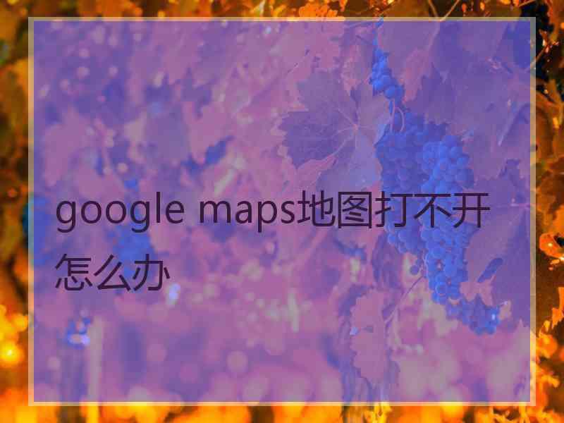 google maps地图打不开怎么办