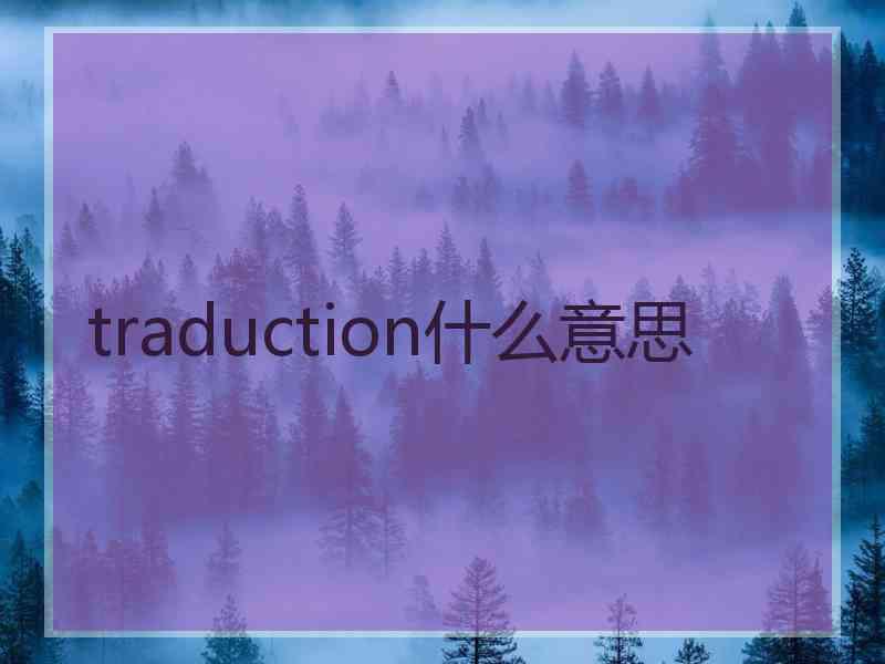 traduction什么意思