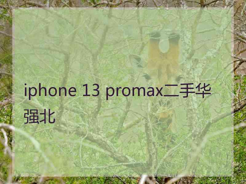 iphone 13 promax二手华强北