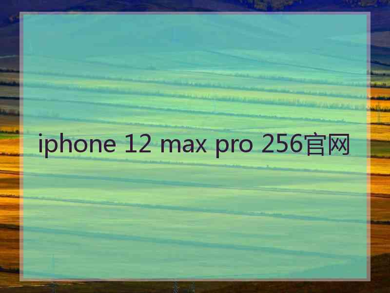 iphone 12 max pro 256官网