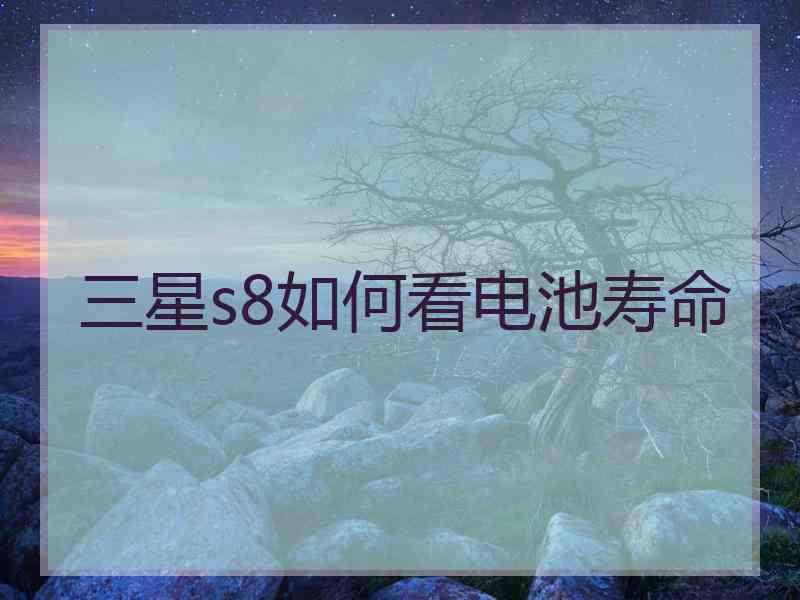 三星s8如何看电池寿命