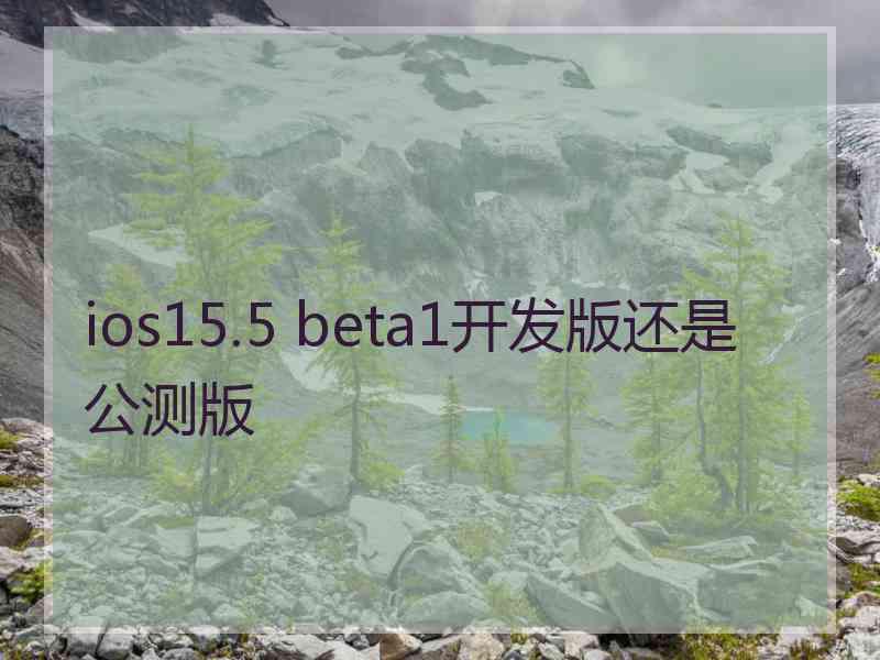 ios15.5 beta1开发版还是公测版