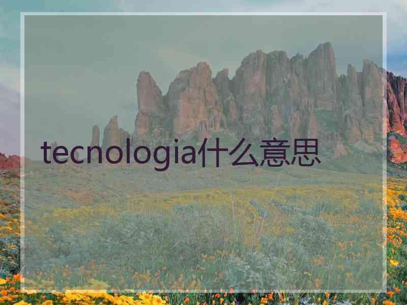 tecnologia什么意思