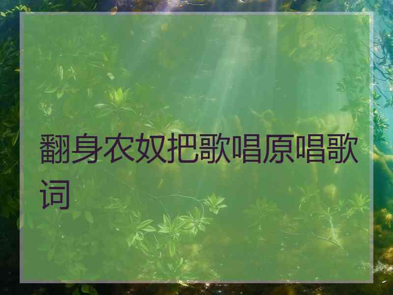 翻身农奴把歌唱原唱歌词