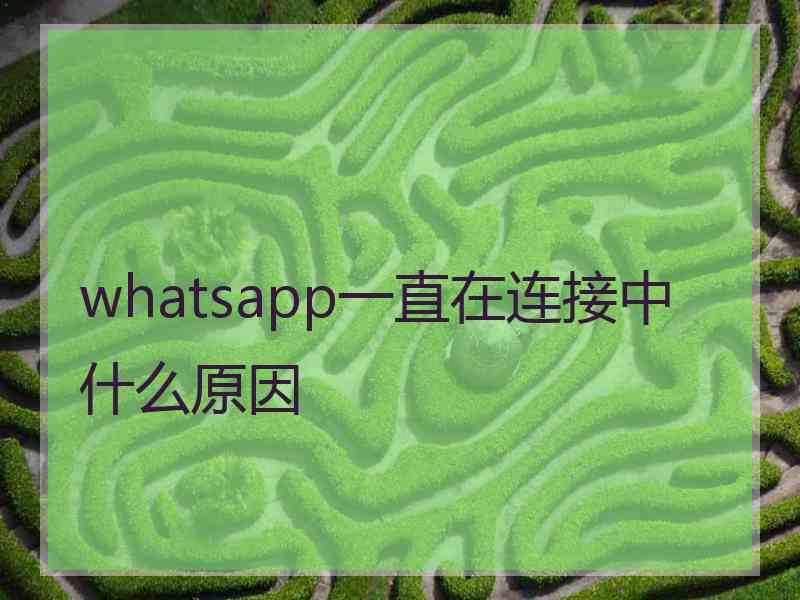 whatsapp一直在连接中什么原因