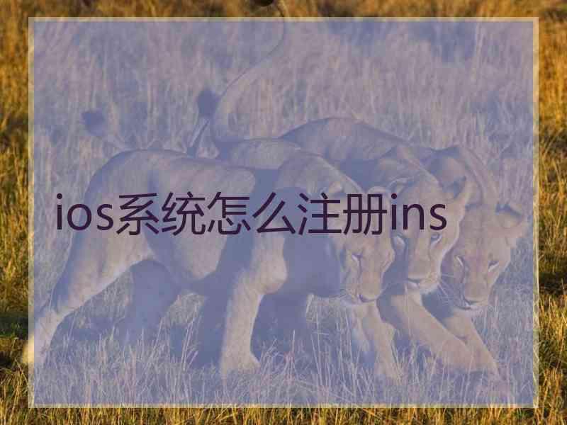 ios系统怎么注册ins