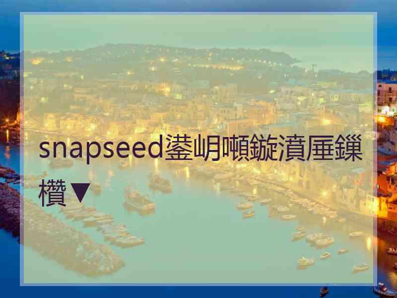 snapseed鍙岄噸鏇濆厜鏁欑▼