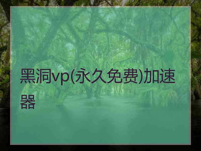 黑洞vp(永久免费)加速器