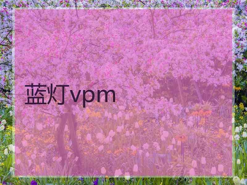 蓝灯vpm