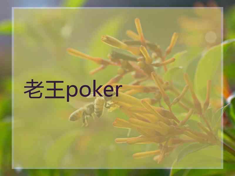 老王poker