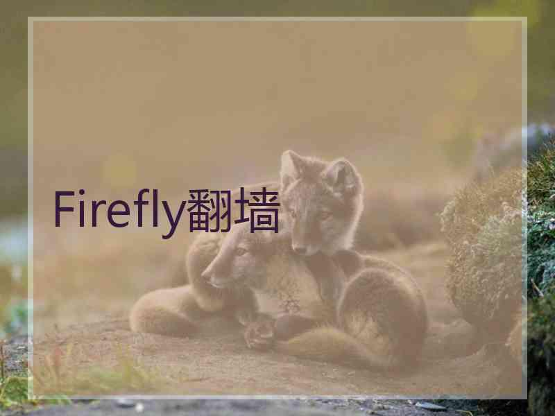 Firefly翻墙