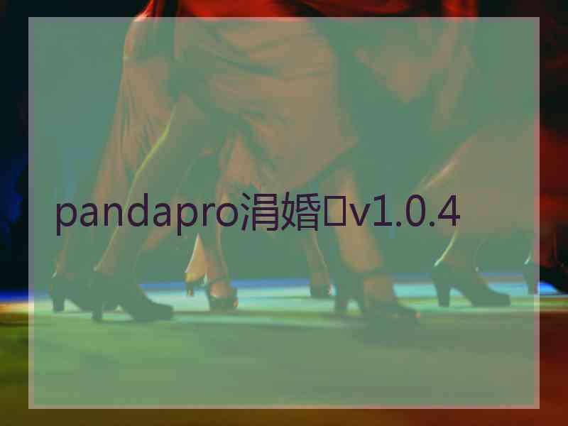 pandapro涓婚v1.0.4