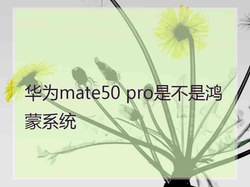 华为mate50 pro是不是鸿蒙系统