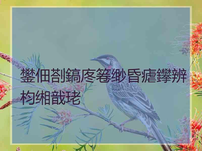 鐢佃剳鎬庝箞缈昏瘧鑻辨枃缃戠珯