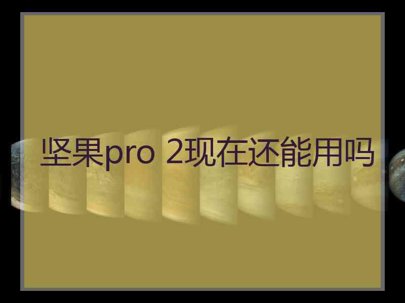 坚果pro 2现在还能用吗