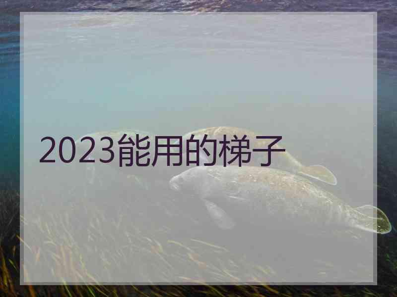 2023能用的梯子