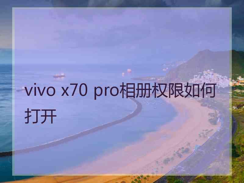 vivo x70 pro相册权限如何打开