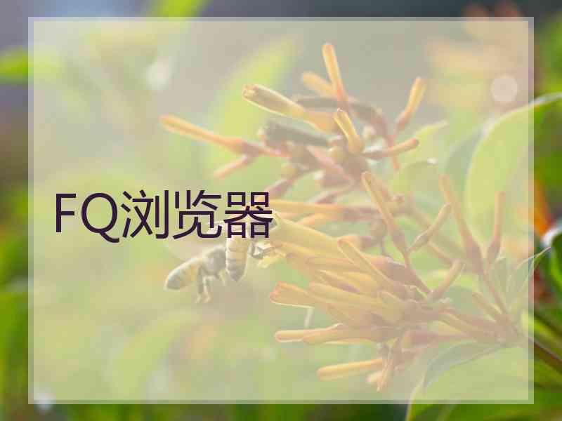 FQ浏览器