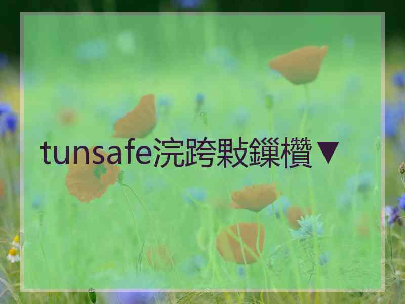 tunsafe浣跨敤鏁欑▼