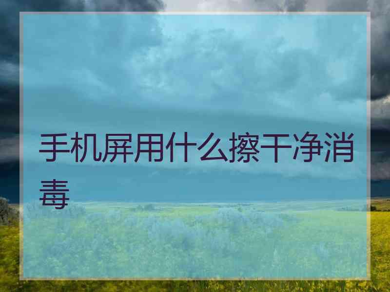 手机屏用什么擦干净消毒