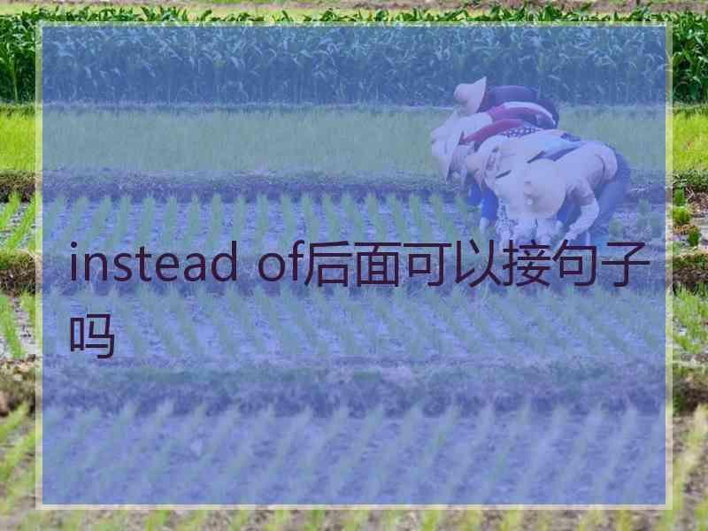 instead of后面可以接句子吗