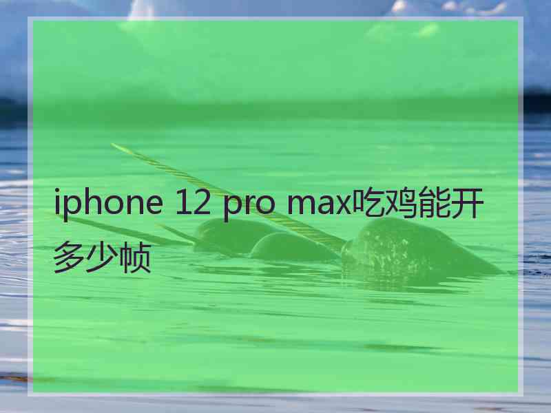 iphone 12 pro max吃鸡能开多少帧