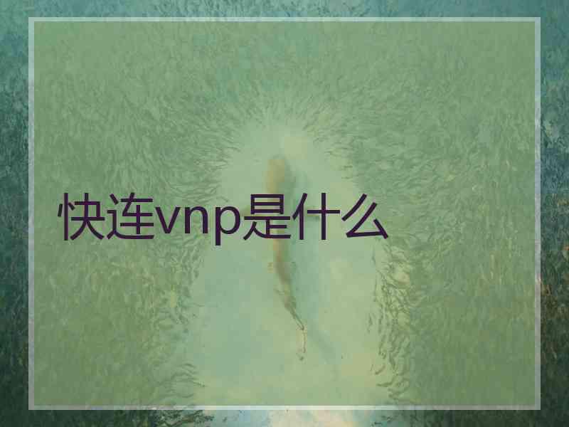 快连vnp是什么