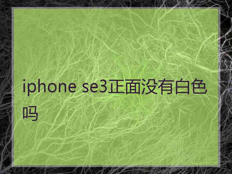 iphone se3正面没有白色吗