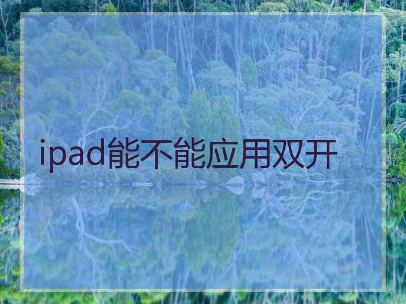 ipad能不能应用双开