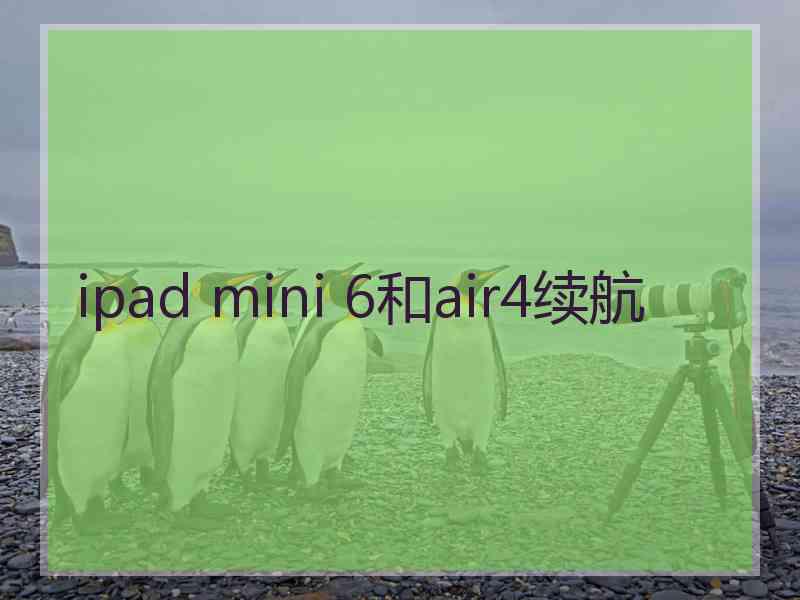 ipad mini 6和air4续航