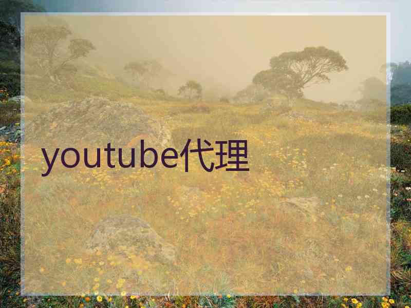 youtube代理