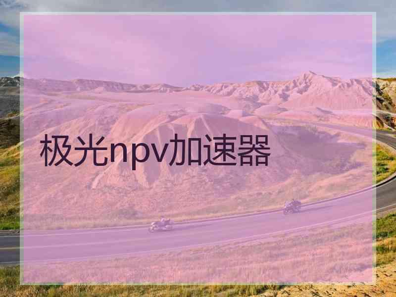 极光npv加速器