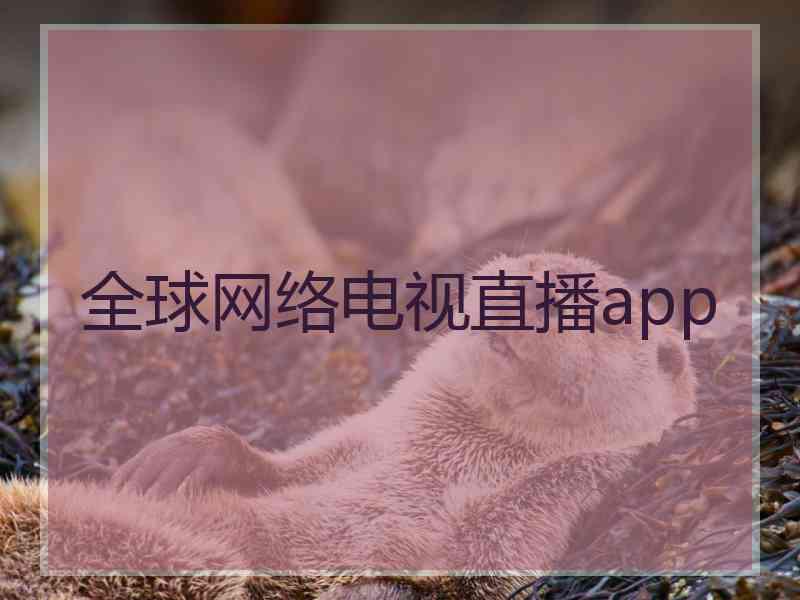 全球网络电视直播app